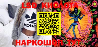 стафф Донской