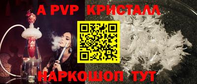 стафф Донской