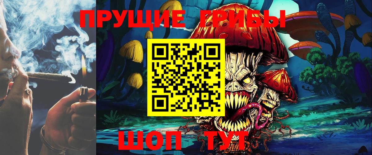 Нижний Тагил  Псилоцибиновые грибы GOLDEN TEACHER  Вход с VPN  Псилоцибиновые грибы мухоморы 
